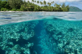 Villa privada individual en el corazón del Triángulo de Coral del Mundo