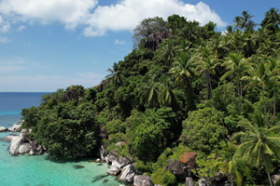 Frente a la playa doble, plantación de cocos existente, promontorio increíble con cascada estacional