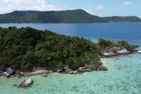 Primera línea de playa bordeada de palmeras frente a Pavilions Hotel Group Islands