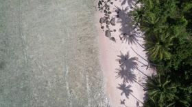 Frente a una playa privada bordeada de palmeras, desarrollo zonificado: vistas elevadas y corales superiores