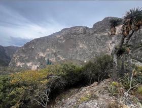 Terreno Campestre en Venta en El Jonuco