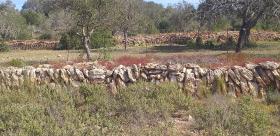 Finca rústica paradisíaca en Ibiza
