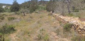 Finca rústica paradisíaca en Ibiza