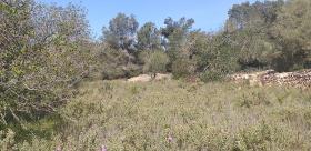 Finca rústica paradisíaca en Ibiza