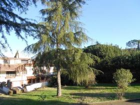 Villa en Roma de 600 m2 en 3 niveles con piscina de 60 m2, parque de 2000 m2, que consta de 4 apartamentos 