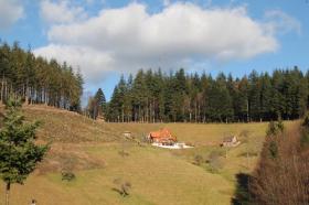 Casa de campo con bosque y pradera en una ubicación fantástica de la Selva Negra.