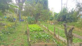 Gran finca en un gran clima todo el año.