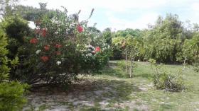 Casa Rangiroa en Polinesia Francesa