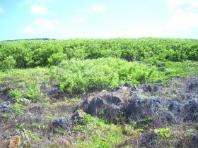 Propiedad en el borde del océano, Tinian CNMI