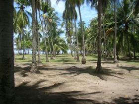 Terreno en venta - Playa aislada y vistas al mar