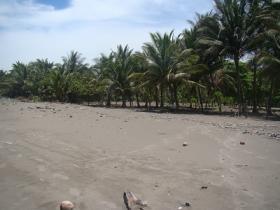 Terreno en venta - Playa aislada y vistas al mar