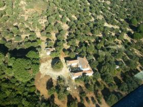 Caserío típico andaluz con 14 ha de dehesa de alcornocales