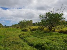10 acres de tierras agrícolas para la venta - posible construir hotel, resort