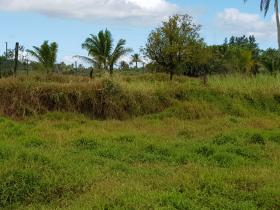 10 acres de tierras agrícolas para la venta - posible construir hotel, resort