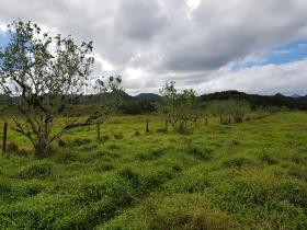 10 acres de tierras agrícolas para la venta - posible construir hotel, resort