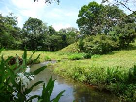 Venta de 84 ha de terreno edificable con proyecto inmobiliario