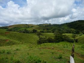 Venta de 84 ha de terreno edificable con proyecto inmobiliario