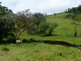 Venta de 84 ha de terreno edificable con proyecto inmobiliario