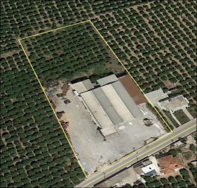 Terreno con planta procesadora de frutas