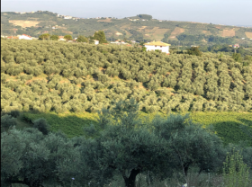 Casa de campo en venta en Loreto Aprutino Abruzos, Italia